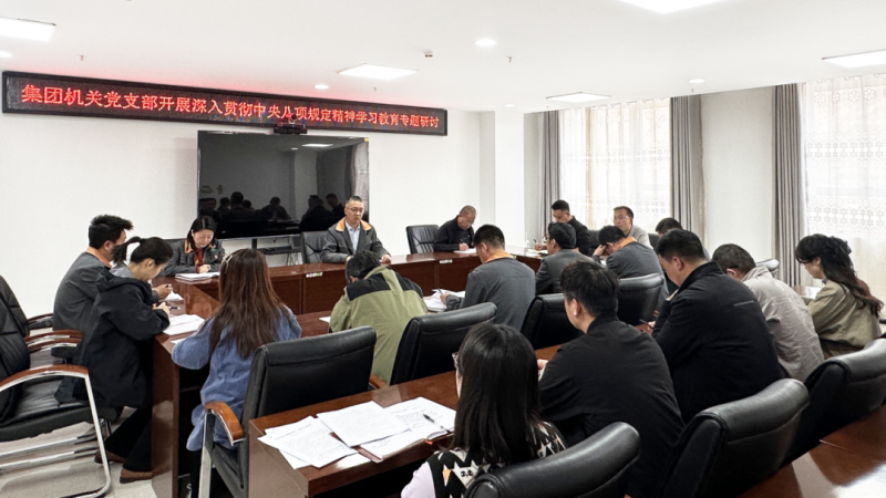 集團(tuán)機(jī)關(guān)黨支部開展深入貫徹中央八項(xiàng)規(guī)定精神學(xué)習(xí)教育專題研討