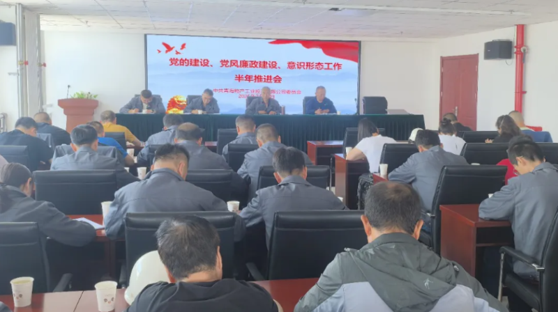 工投公司黨委召開(kāi)黨的建設(shè)、黨風(fēng)廉政建設(shè)、意識(shí)形態(tài)工作半年推進(jìn)會(huì)