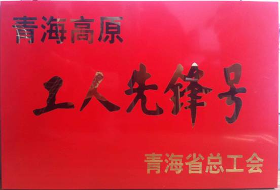祝賀特鋁合金公司鑄造車(chē)間獲得青海高原&ldquo;工人先鋒號(hào)&rdquo;榮譽(yù)稱號(hào)