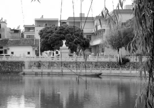 老鄉(xiāng)眼里的李河君：陌生富豪，夫人助其發(fā)財(cái)